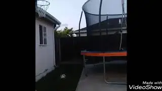Bca Bob gets a bed