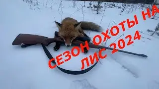 Охота на лису с Мелкашкой УЖЕ ДОБЫЛ 6 ЛИС  СЕЗОН 2024