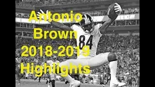 Antonio Brown 2018-2019 Highlights!