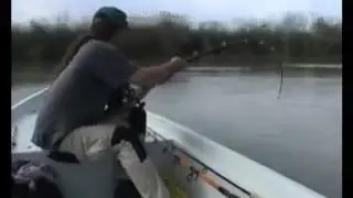 219rare fish