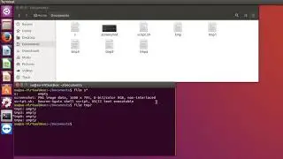 Linux/Ubuntu wildcards.