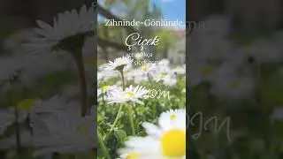 İyi tohumları yeşertenler iyilikleKötü tohumları yeşertenler kötülükle karşılaşır.#aydinrehberlik