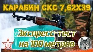 SKS - BPZ, TPZ, and APZ at 100 m. And speed measurement. (Express test. SKS carbine & Russian car...