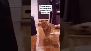 😂 #crazylo