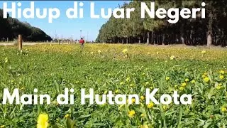MAIN DI HUTAN KOTA MAROKO. SILENT VLOG - A DAY IN THE WOODS. MOROCCO المغرب