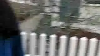 trash