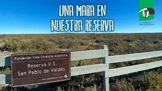 ¡Visitas en la Reserva San Pablo de Valdés!