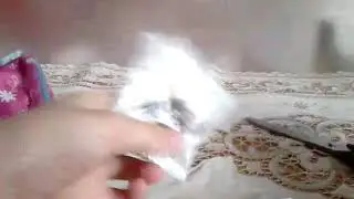 Открываю Harry Porter 2