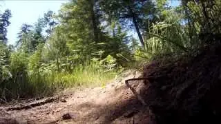 Crawfish Downhill