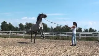 Клео и Аня
