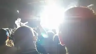 Måneskin at rock werchter 5 july 2024