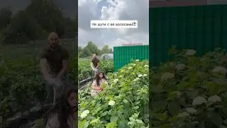 #юмор #прикол #комедия #шутки #семья #жена #муж #ямамавдекрете