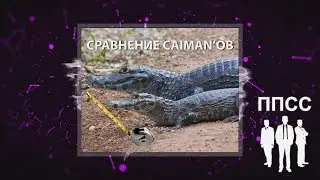Caiman V4 RDA Оригинал vs Самарский клон