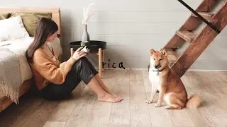 【BGM】music for work , study , reading a book and relax😊 | piano