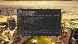 (28) How to redirect the output of a command