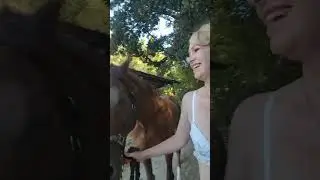 Dainty Rascal with Cheetah the Rescue Horse