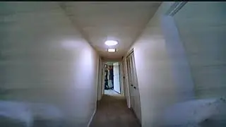 EZPILOT HOUSE FLY