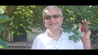 Fethiye Nif Babalar Günü, Kurban Bayramı