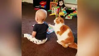 Кот ластиться к ребенку, кот хочет ласки от ребенка
