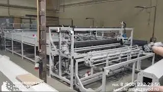 6 ноября 2024 г.