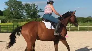 Sir Kannfly - first ride in arena after a month off, plus two hacking videos from March 24.