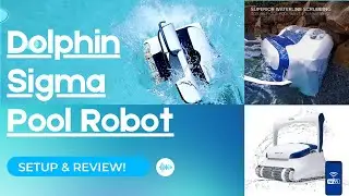 Review: The Dolphin Sigma Robot & Automatic Pool Cleaner Vacuum