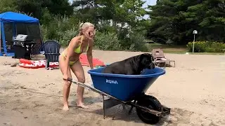 5 FUN THINGS TO DO AT THE COTTAGE TO STAY ACTIVE | Fun Exercises 😅🫸🫷😎