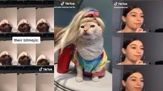 Tik Tok Funny,FUNNY IRONIC TIK TOK MEME COMPILATION, N066
