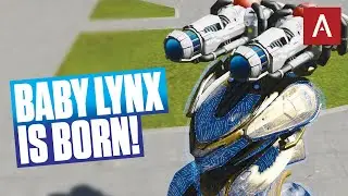 Baby Account Wins A Lynx? War Robots Baby Account Gameplay WR
