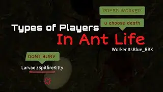 Types of Players in Ant Life Roblox