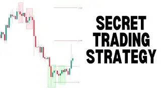 Discover The Secret Trading Strategy That No One Teaches
