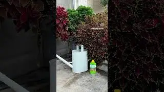 GROW #liquidfertilizer #texasgardening #gardenflowers #garden  Keep your garden lush and vibrant.