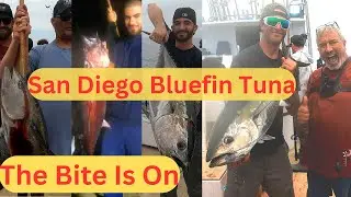 BLUEFIN TUNA FISHING San Diego Ca. Fishermans Landing F/V Mustang BEST TUNA TANGO EVER