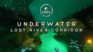 8 Hours of Subnautica Ambience | Subnautica ASMR Ambience | Subnautica Sounds | Underwater Ambience