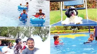 First Swimming Experience of Leo ( Shih tzu Dog ) I At Splendour Country Club