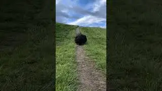#мем