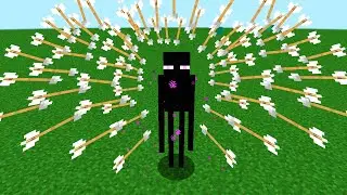 enderman vs 1000 arrows