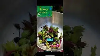 HARVESTING SEEDS 