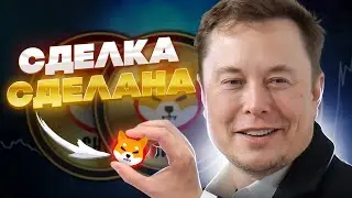 ВЫ НЕ ПОВЕРИТЕ ЧТО СЛУЧИЛОСЬ С ШИБА ИНУ!