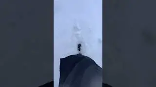Good morning winter