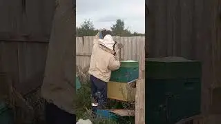 20 декабря 2021 г.