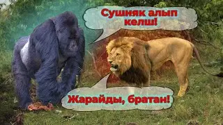ЖҮРЕК ЖҰТҚАН ЕҢ МЫҚТЫ ЖАНУАРЛАР | ҚОРҚЫНЫШ ДЕГЕН СӨЗДІ БІЛМЕЙТІН ХАЙУАНДАР