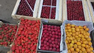 Эфир Чаро Ютуб Подписчиро Рох Надодос
