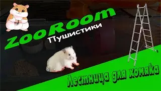 Лестница для хомяка или хомяк заговорил