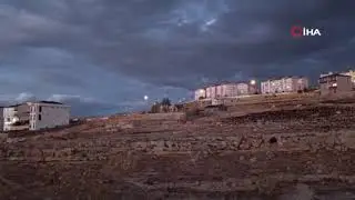 Van'da binlerce karga gökyüzünü kapladı