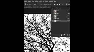 Tree Selection in Photoshop | Photoshop Tutorial #shorts