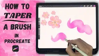 How to Create Beautiful Tapered Brushes in Procreate?