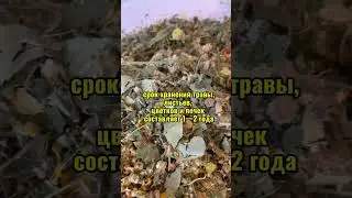 Сколько лет можно хранить сухие травы?