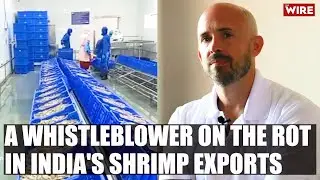 A Whistleblower on the Rot in India's Shrimp Exports
