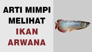 Arti Mimpi Melihat Ikan Arwana